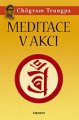 Meditace v akci - Chögyam Trungpa