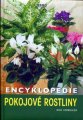 Encyklopedie - Pokojové rostliny - Nico Vermeulen