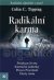 Radikální karma - Colin C.Tipping