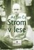 Strom v lese - Adžán Čá