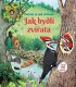 Jak bydlí zvířata Podívej se pod obrázek - Emily Bone
