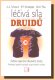 Léčivá síla druidů - A.A.Schwarz, R.P.Schweppe, W.M.Pfau (Podtit