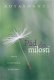 Pád do milosti - Adyashanti