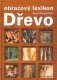 Dřevo - obrazový lexikon - Rudi Wagenführ