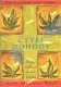 RUIZ Čtyři dohody (moudrost Toltéků) - Don Miguel Ruiz
