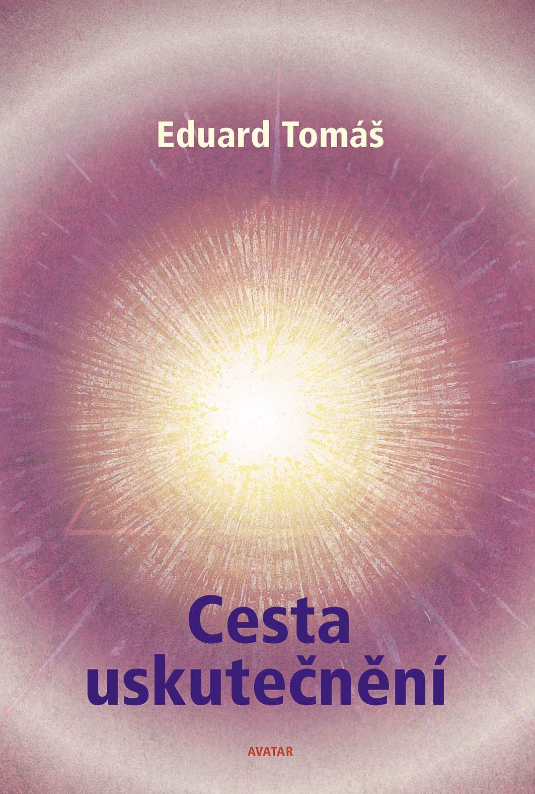 Cesta uskutečnění - DOPRODEJ (snížená kvalita)